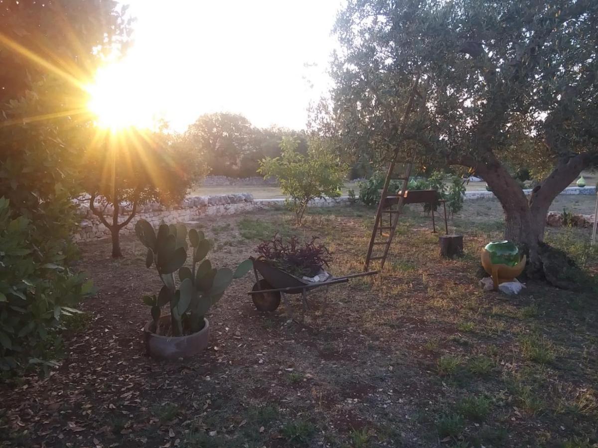 הוילה צ'יסטרנינו Trullo Gio מראה חיצוני תמונה